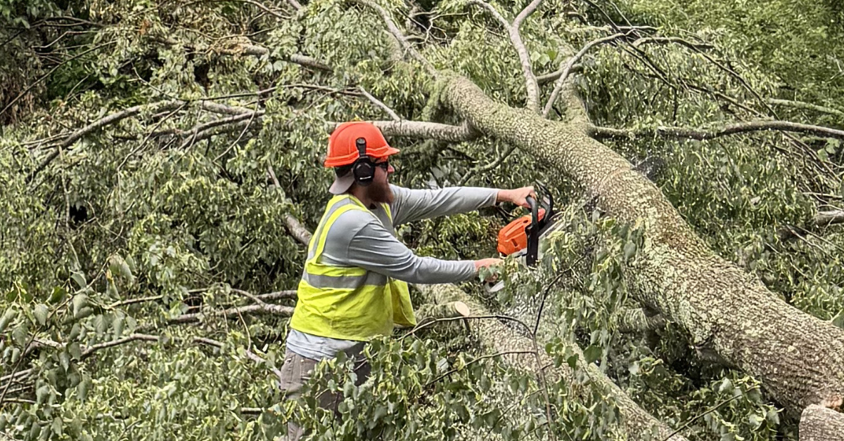 24/7 Emergency Tree Service in Ledyard