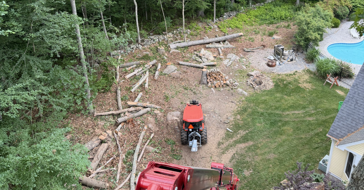 Lot Clearing in Ledyard