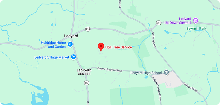 Service Areas Maps